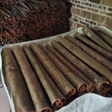 广西桂皮，桂通，条形好，足干皮厚肉香，天然无污染