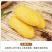 山东玉米面饼子手工现做粗粮主食王米面饼子多省包邮免运费