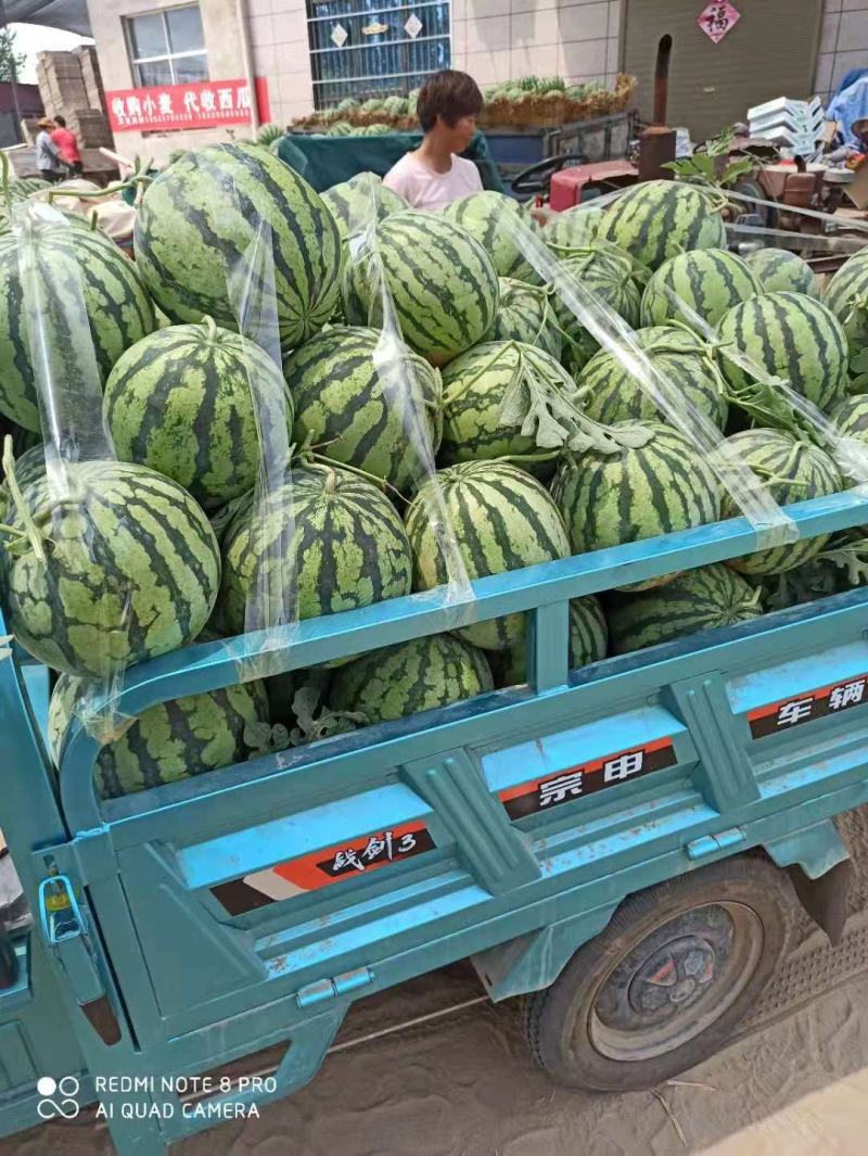 美嘟西瓜产地直供，熟度好，口感佳，货源充足。
