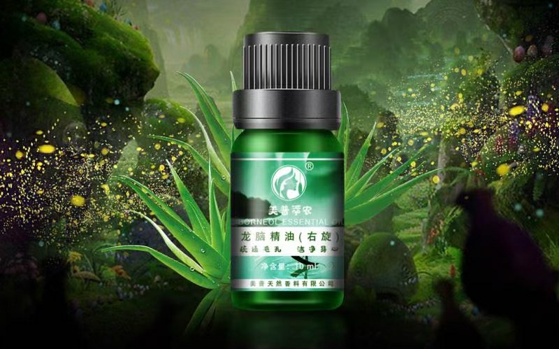 龙脑樟油(农业农村局督导种植，五年耕耘方有龙脑香叶加工)