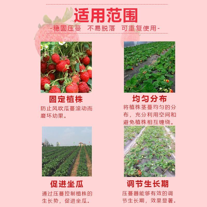 草莓西瓜压蔓叉月季多肉压蔓器