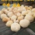 猴头菇东北猴头菇干货500g长白山特产农家蘑菇深山野生种
