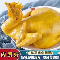 广东梅州客家盐焗鸡整只手撕鸡盐水鸡白切鸡肉类熟食卤味零食