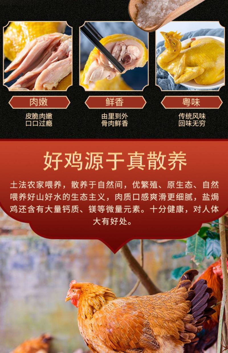 广东梅州客家盐焗鸡整只手撕鸡盐水鸡白切鸡肉类熟食卤味零食