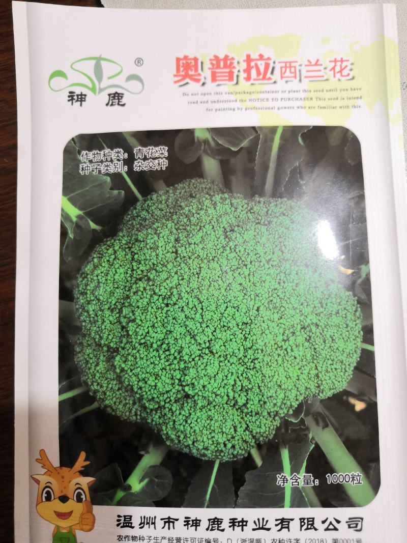 【选购链接】耐寒优秀西兰花种子蕾粒细致抗病强播种弹性强