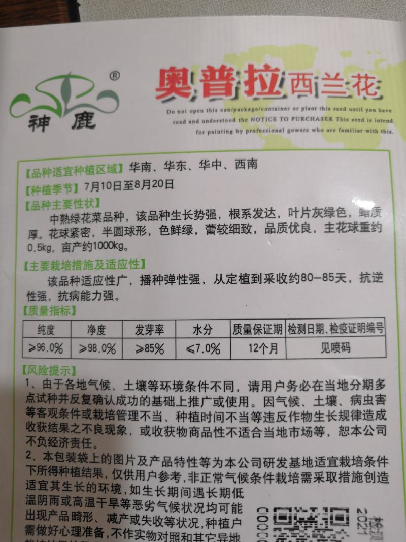 耐寒优秀西兰花种子蕾粒细致抗病强播种弹性强