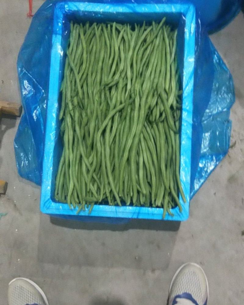 精品豆王