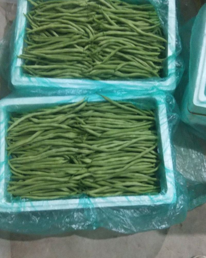 精品豆王