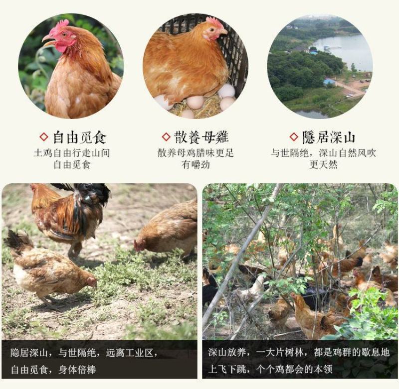 腊鸡农家自制风干湖北整只土鸡散养咸鸡安徽正宗腊味年货包邮
