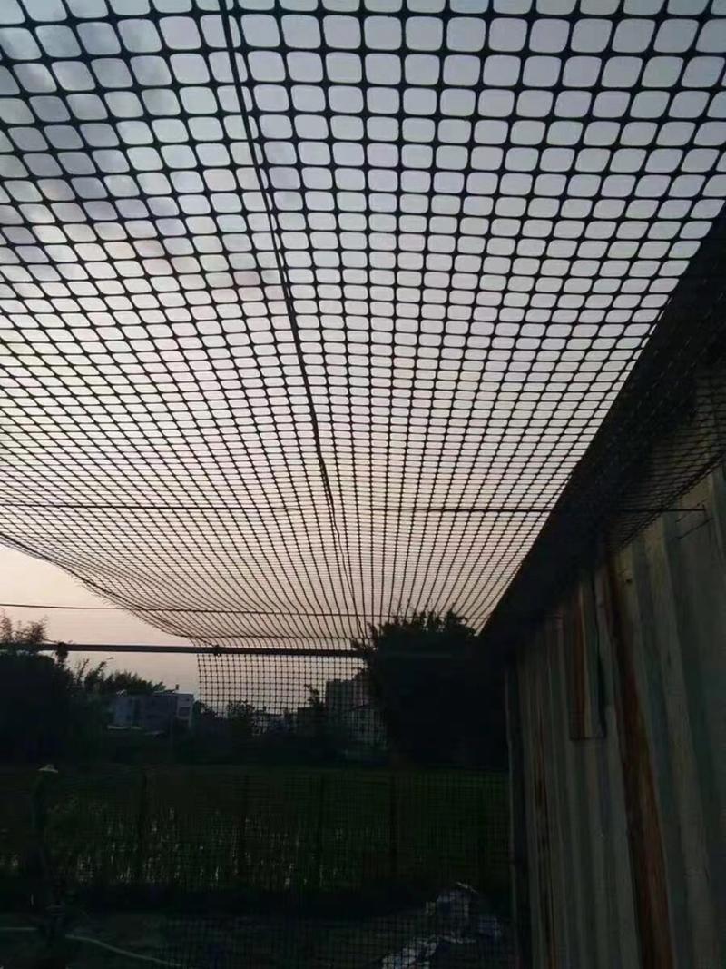 养殖网养鸡网养鸭漏粪圈玉米围网鱼塘果园防护网塑料网围栏网