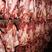 猪连肝肉护心肉罗根肉罗隔肉横膈膜新鲜冷冻