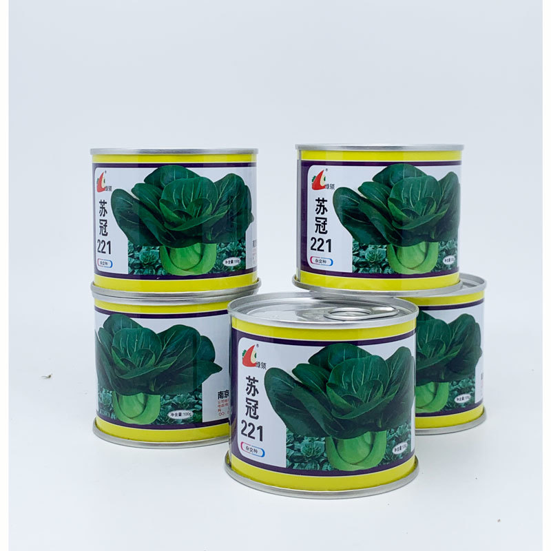 苏冠221黑叶矮脚苏州青种子耐寒特矮黑菜种子100克原装