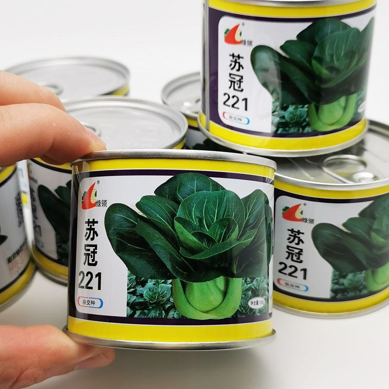 苏冠221黑叶矮脚苏州青种子耐寒特矮黑菜种子100克原装