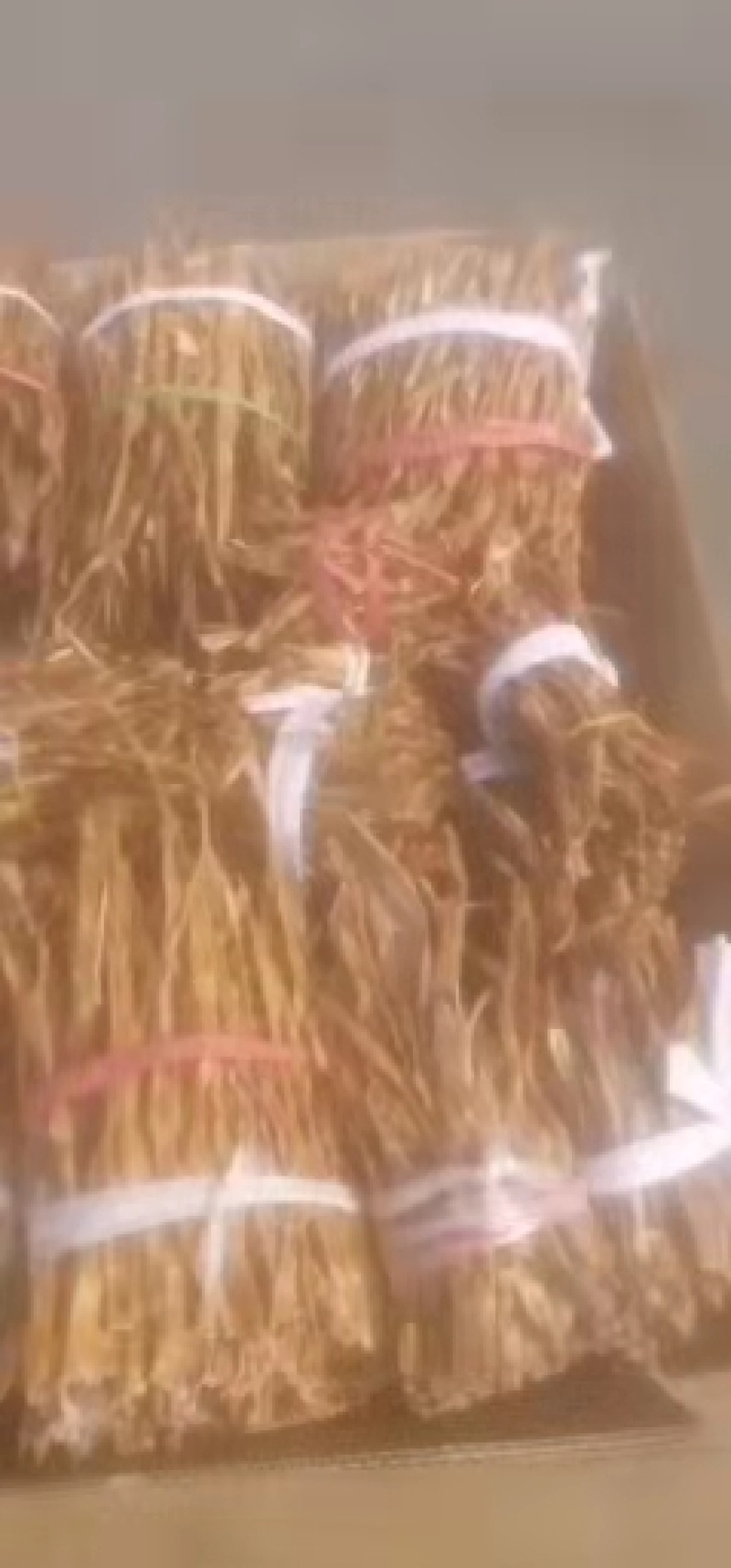小笋干，竹林小干笋，是太阳晒干的笋干，电烤干的笋干。