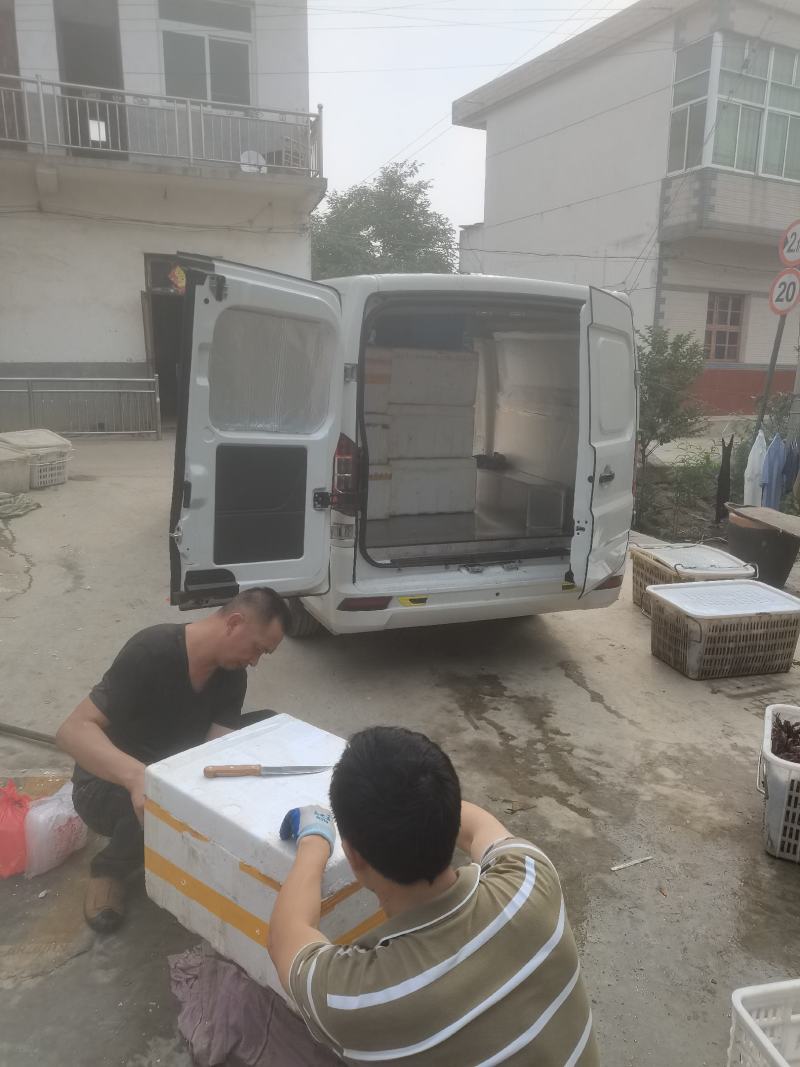 精品小龙虾
