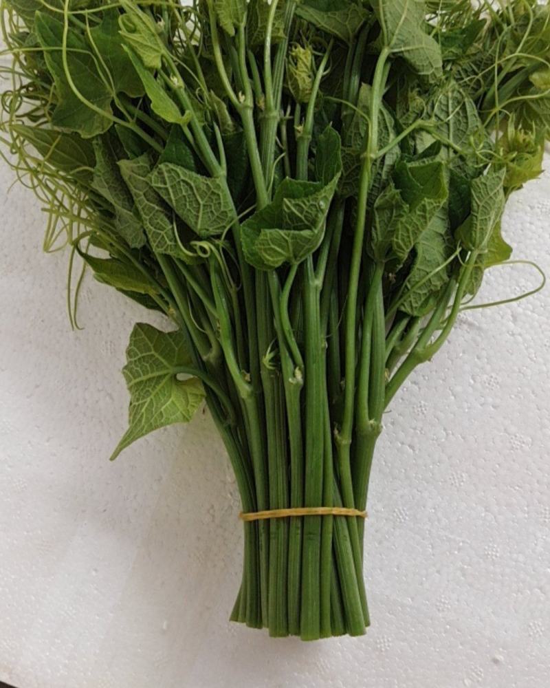 佛手瓜苗菜