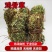 鸡骨草～新货扎把鸡骨草～长把的40一公斤～1公斤起售～