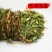 鸡骨草～新货扎把鸡骨草～长把的40一公斤～1公斤起售～