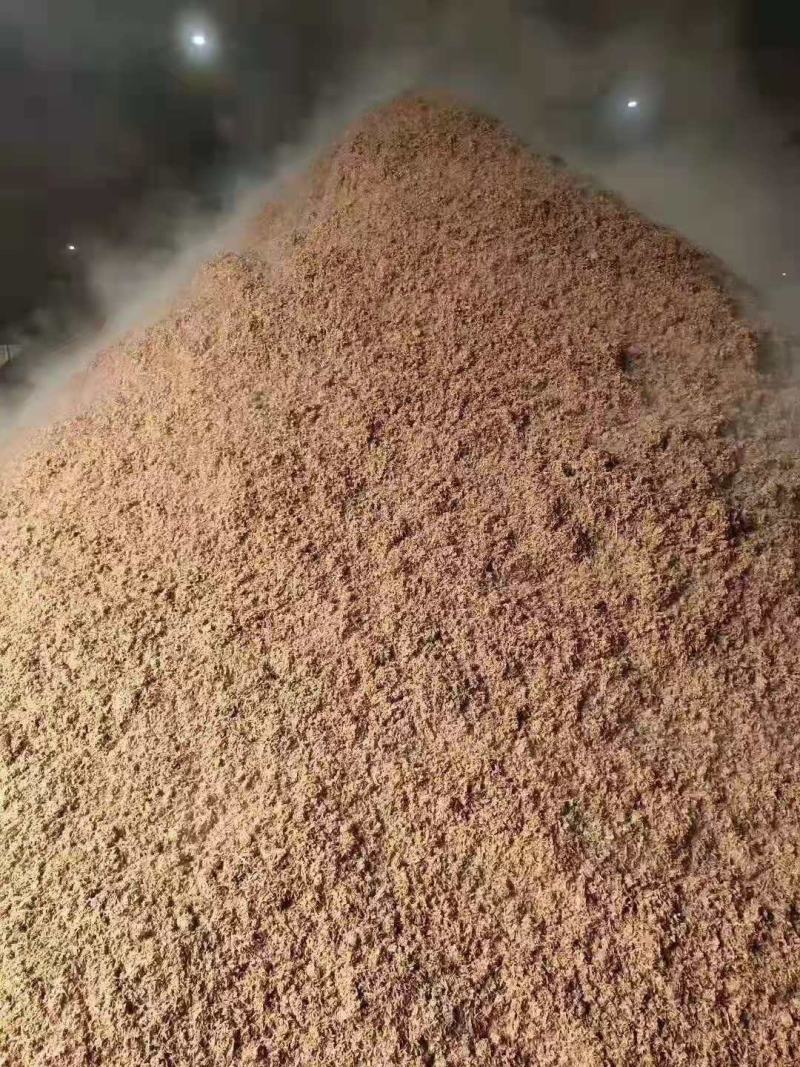 啤酒糟现货供应厂家直销，现货供应，厂家直销
