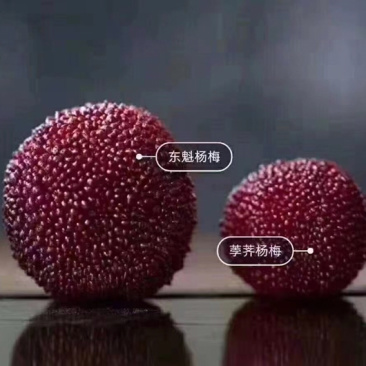 自家种的杨梅20块一斤，提供代包装发货等服务，6斤起