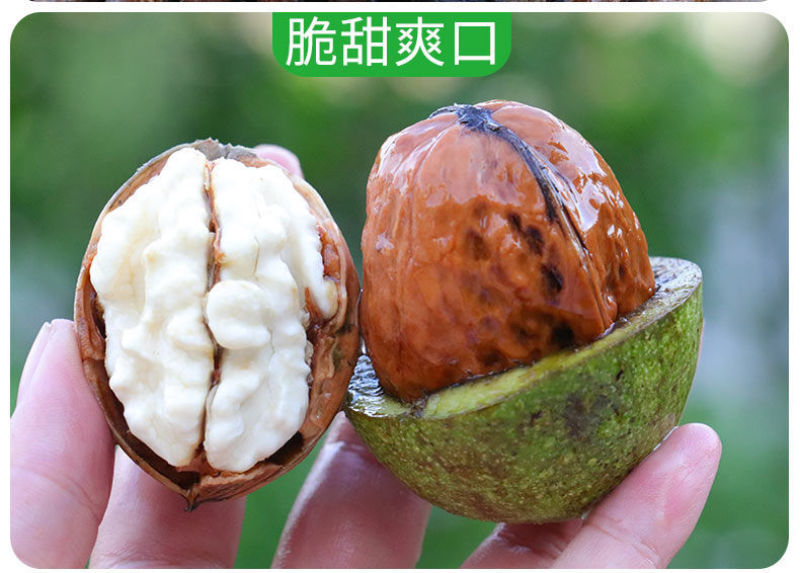 新鲜湿核桃绿皮核桃青皮核桃去皮核桃嫩核桃香核桃
