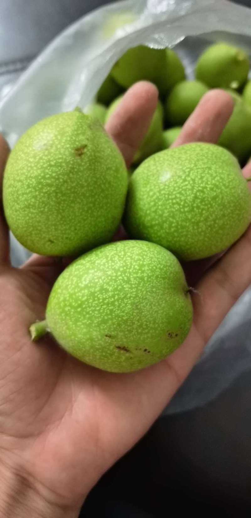新鲜湿核桃绿皮核桃青皮核桃去皮核桃嫩核桃香核桃