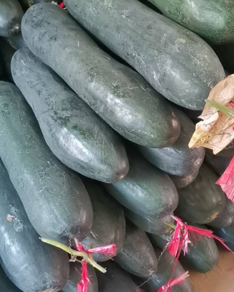 冬瓜