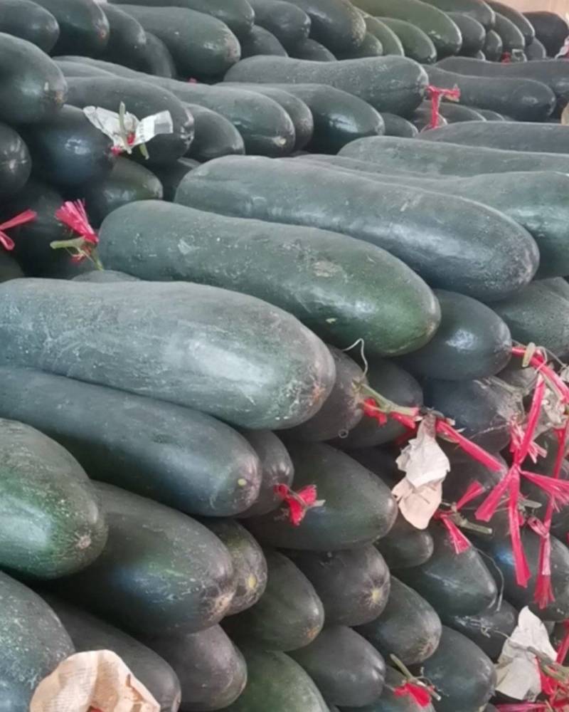 冬瓜