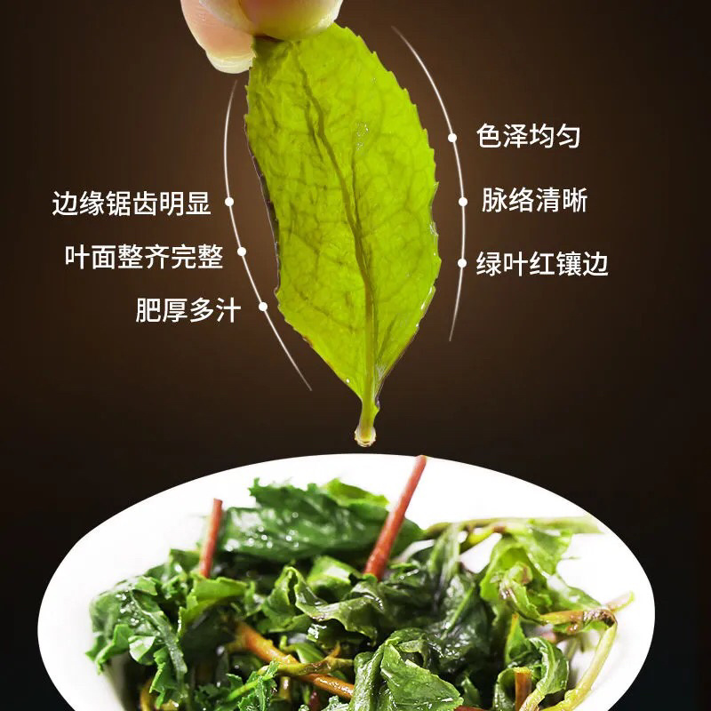 鲜香冰茶铁观音浓香型兰花香新茶带梗冻茶湿茶散装
