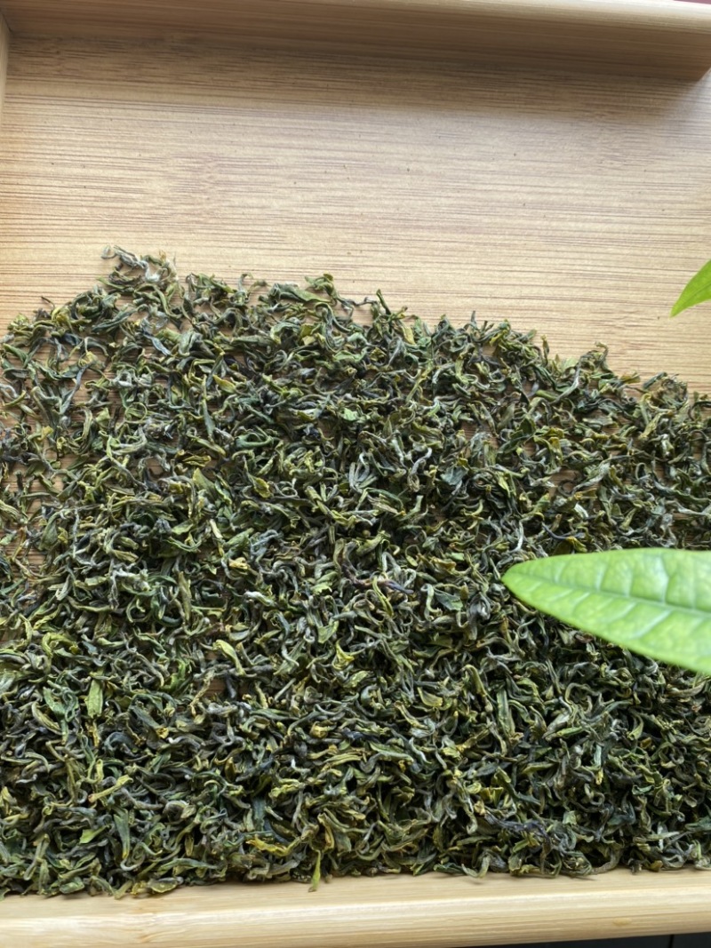 日照绿茶，5月份前的春茶，珍藏喽，2021年的春天一去！