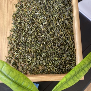 日照绿茶，5月份前的春茶，珍藏喽，2021年的春天一去！