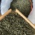 日照绿茶，5月份前的春茶，珍藏喽，2021年的春天一去！