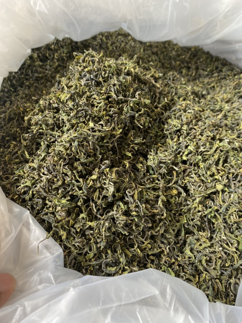 日照绿茶，5月份前的春茶，珍藏喽，2021年的春天一去！