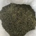日照绿茶，5月份前的春茶，珍藏喽，2021年的春天一去！