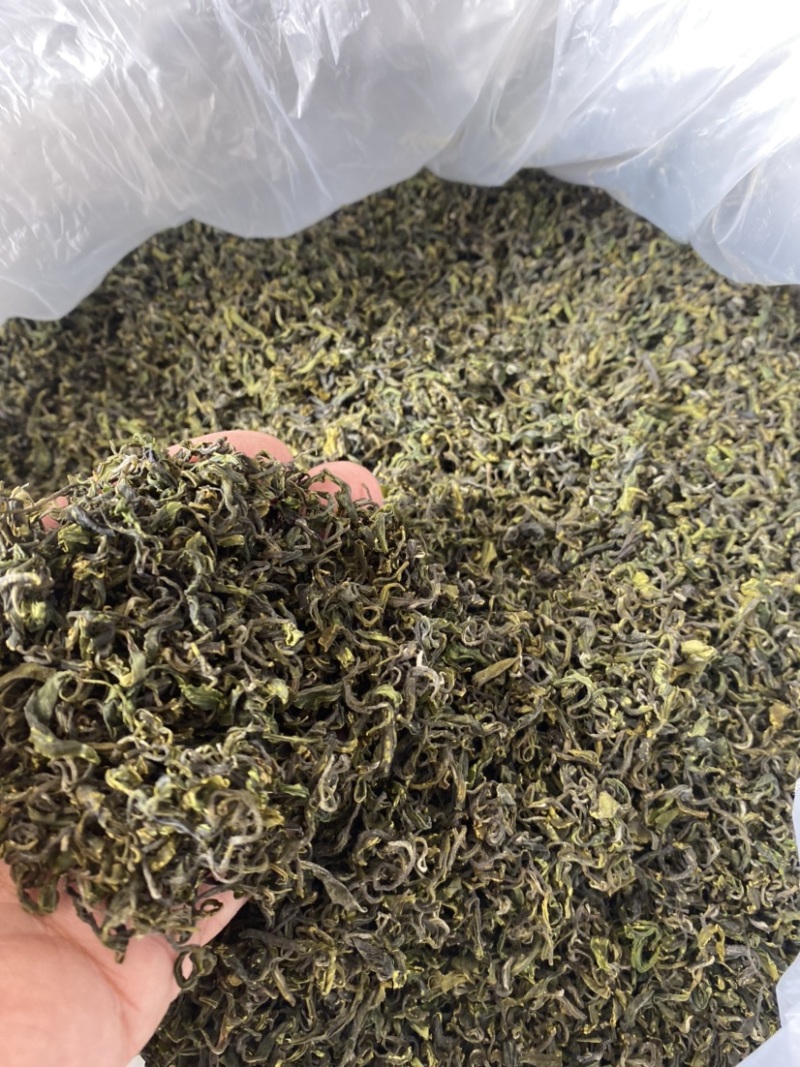 日照绿茶，5月份前的春茶，珍藏喽，2021年的春天一去！