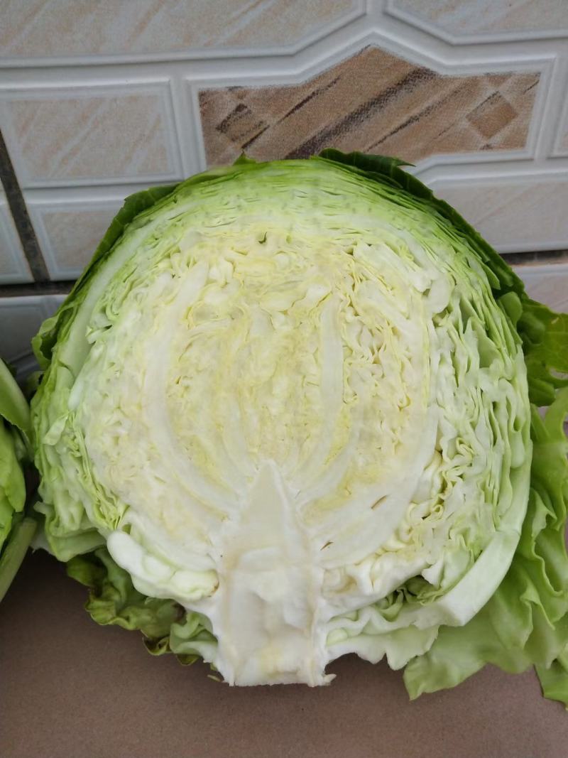 精品莲花菜