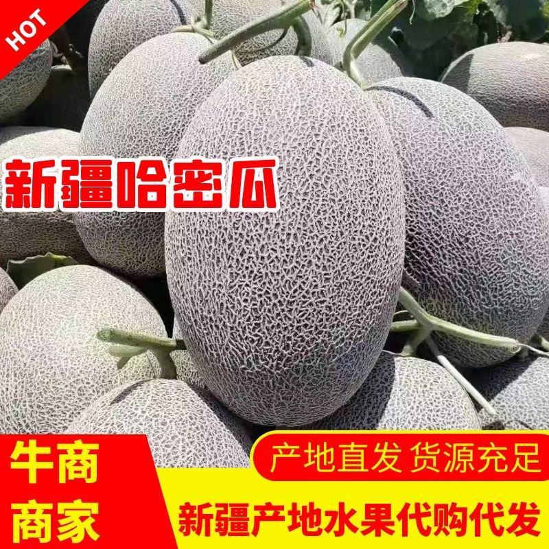 【牛商推荐】新疆哈密瓜包熟包甜代发全国可视频看货