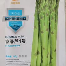 北京芦笋种子京绿一号F1品质好市场加工受欢迎