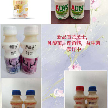 太子奶乳酸菌