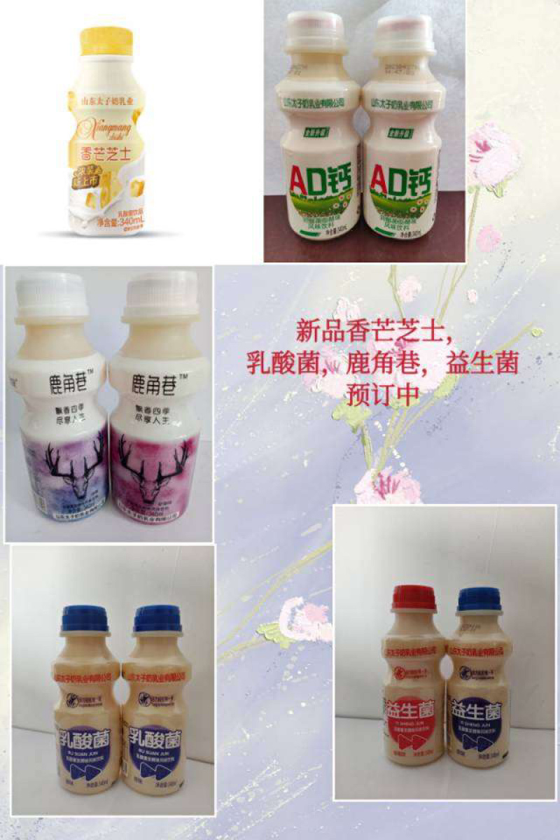 太子奶乳酸菌