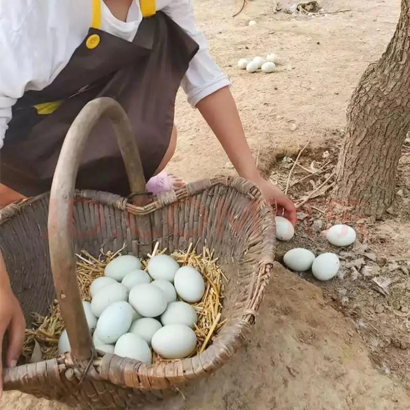 【包邮-50枚鸭蛋】热销农村散养50枚土鸭蛋
