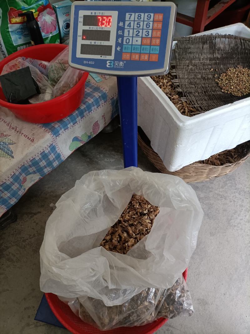 纯野生干货白芨，只有十四斤了，全晒干，无硫。