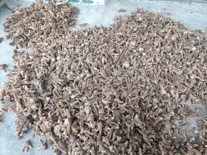 纯野生干货白芨，只有十四斤了，全晒干，无硫。
