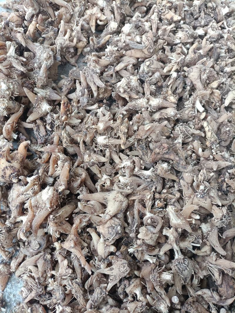 纯野生干货白芨，只有十四斤了，全晒干，无硫。