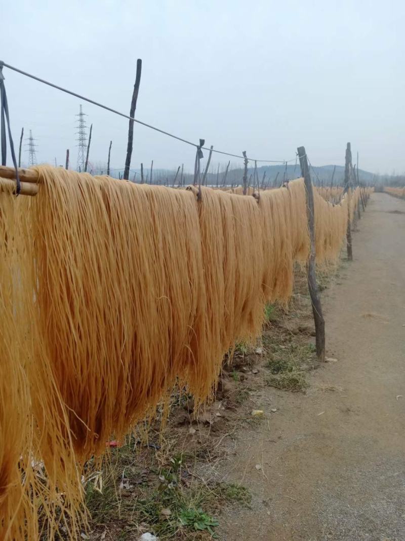 粉条沂蒙山正宗红薯粉条爽滑劲道可口