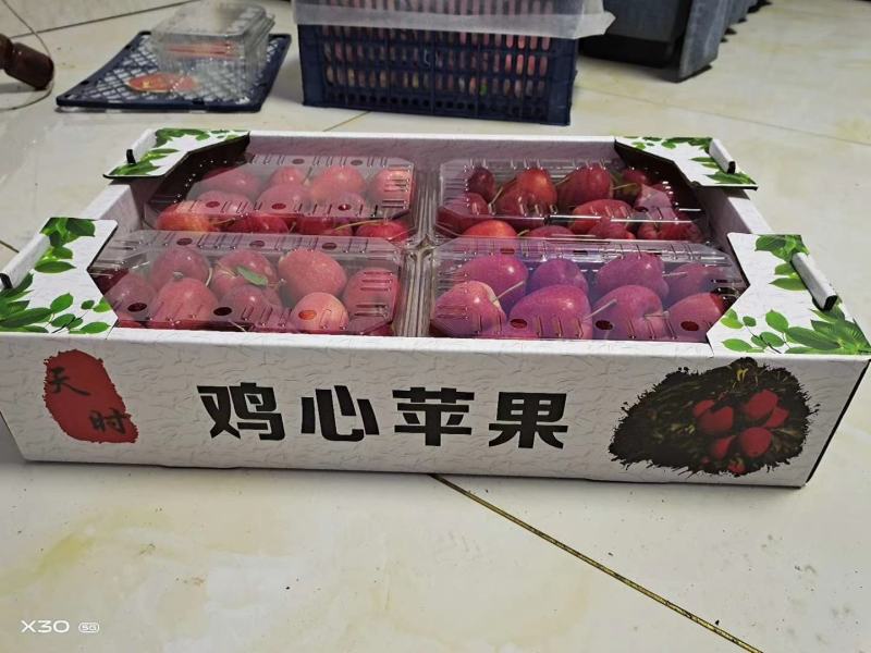 鸡心果（辽宁铁岭樱桃小苹果）品质好量大从优