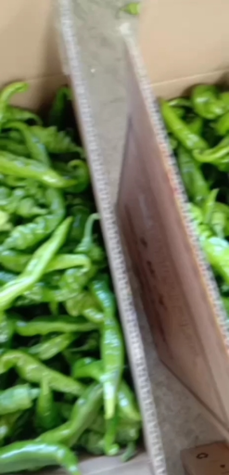 螺丝椒