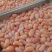 新鲜鸡腰子