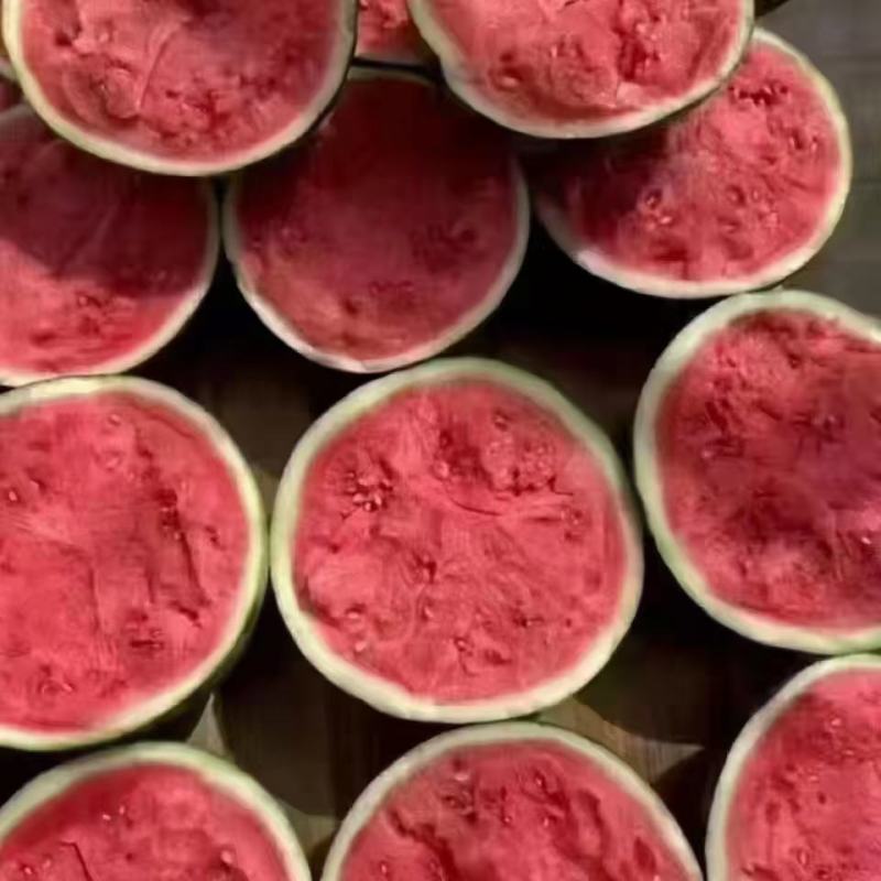 甜王精品瓜大量上市质量上乘红瓤黑籽糖度13