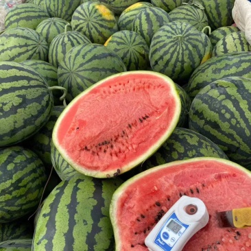 甜王精品瓜大量上市质量上乘红瓤黑籽糖度13